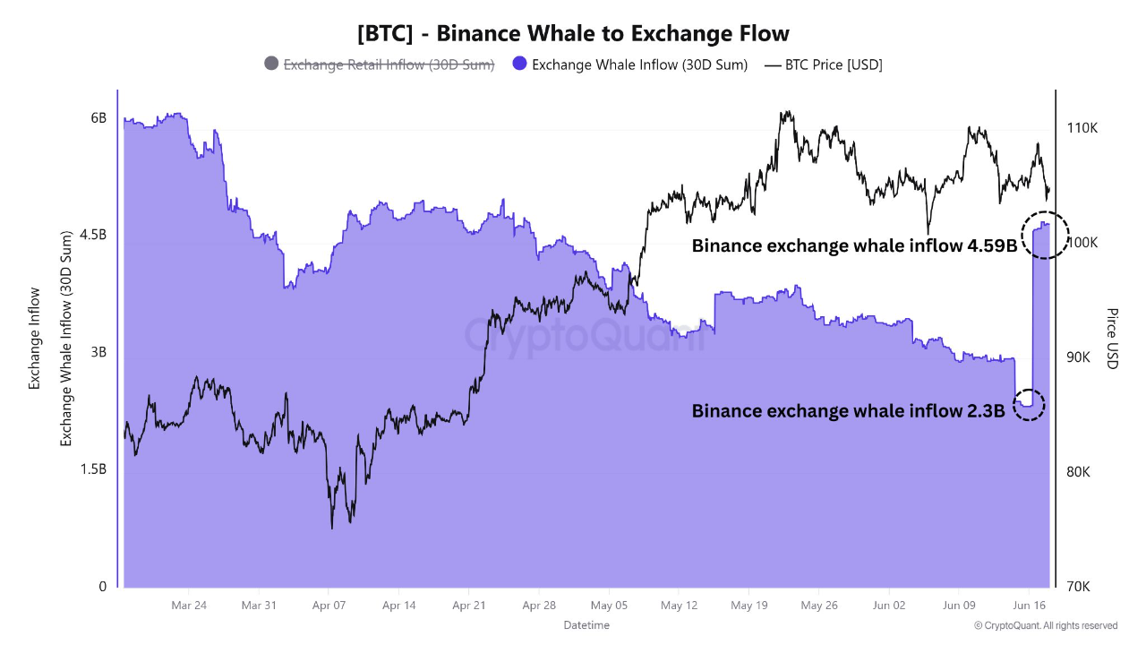 Bitcoin on the Move: ETF Inflows and Binance Whale Activity Spark Bullish  Momentum | CryptoQuant