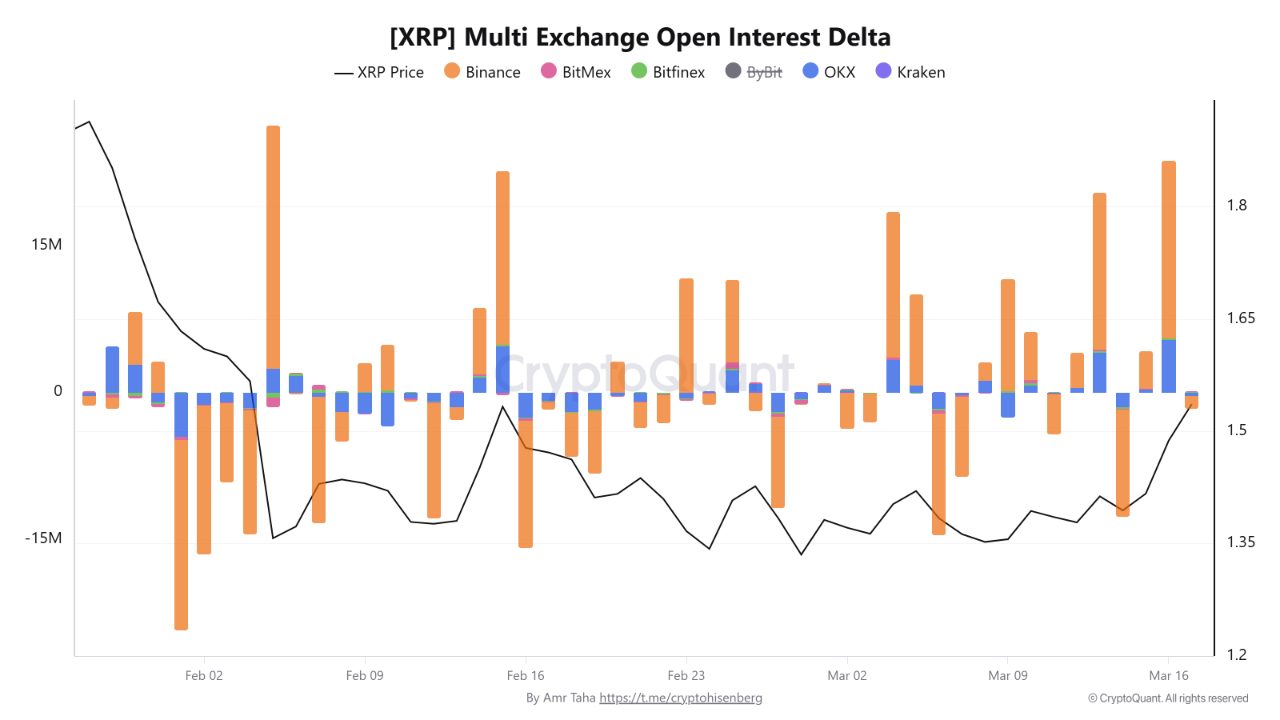 XRP Multi Exchange Open Interest Delta | Source: CryptoQuant