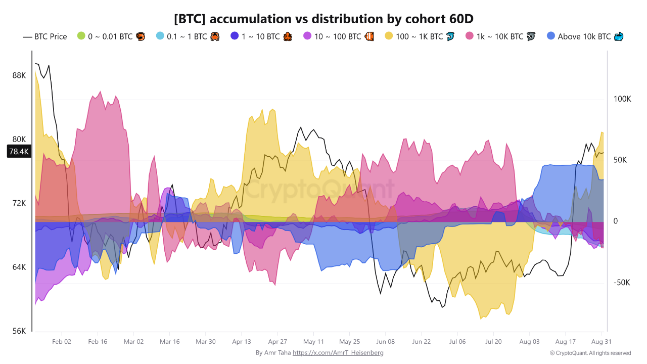 Nhóm Bitcoin 100–1K BTC đạt mức cao nhất kể từ tháng 4 trong khi nhóm 10K+ cho thấy thiết lập khác biệt
