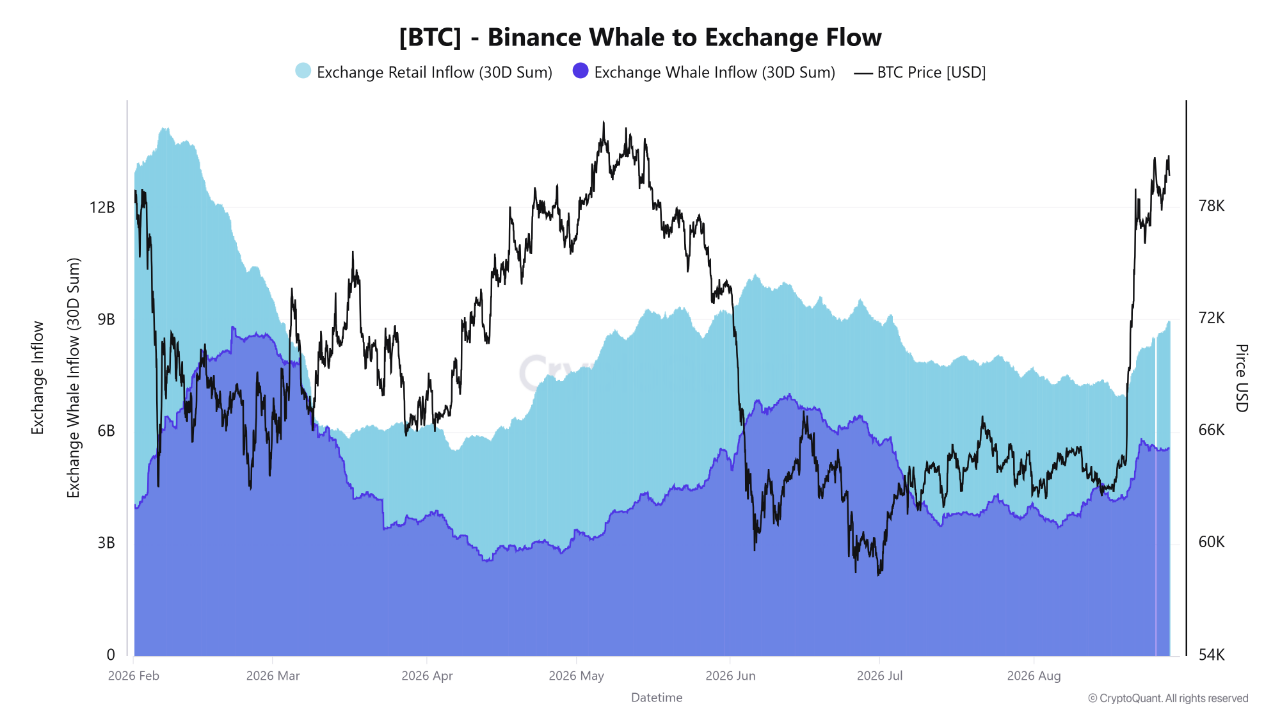 Bitcoin Near $80K While Binance Whale and Retail Inflows Remain About 35% Below February Peaks
