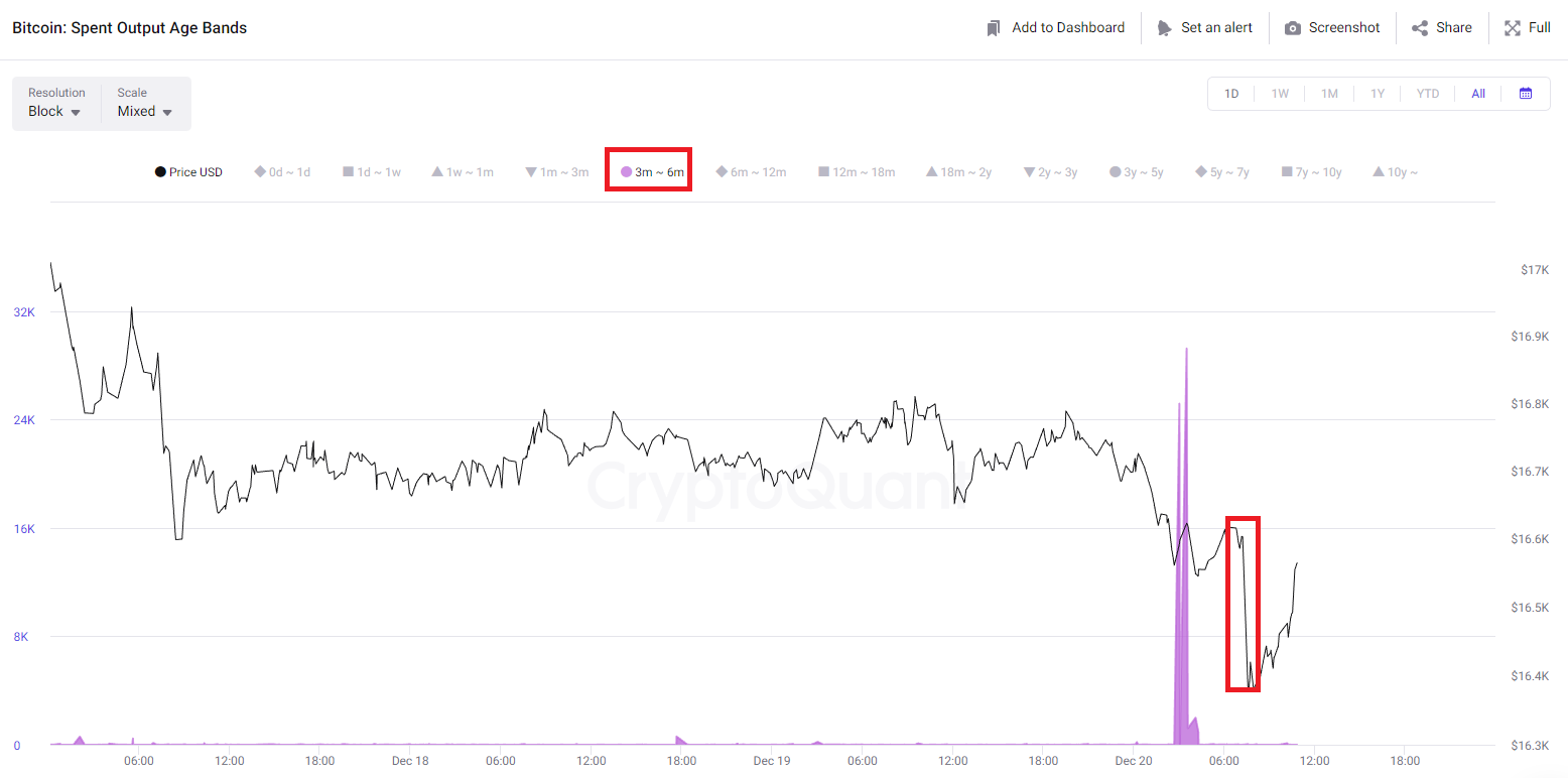 Bitcoin орта мерзімді ұстаушы демпинг