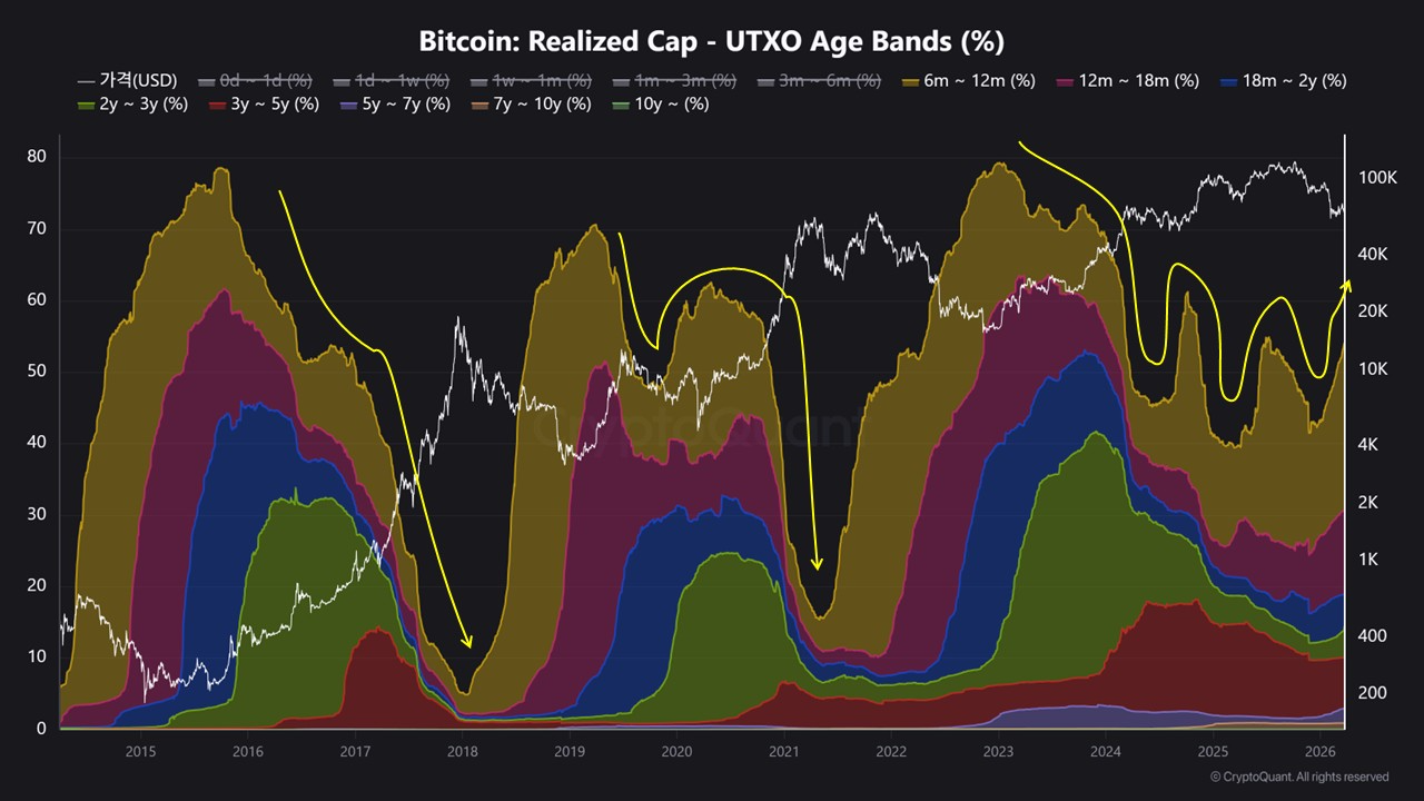 Bitcoin Market Shows Stability Despite Price Pullbacks, UTXO Data Confirms