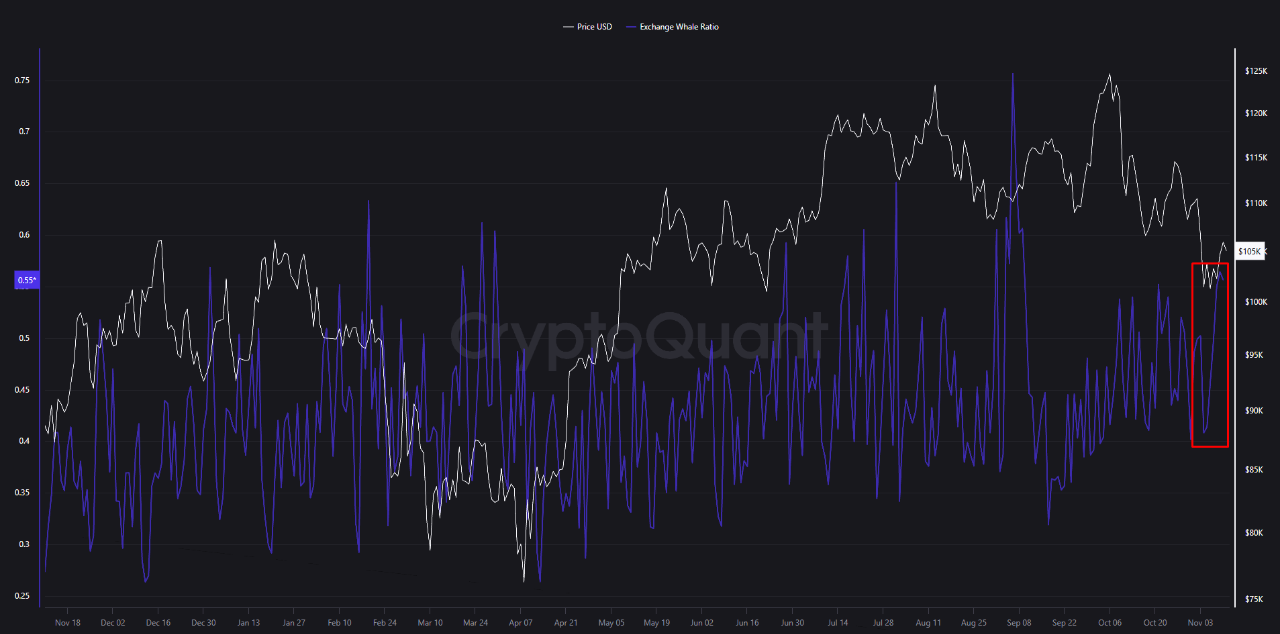 Whales Are Back — Rising Exchange Whale Ratio Signals Changing Market  Dynamics | CryptoQuant