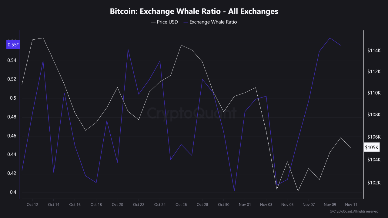 Whales Are Back — Rising Exchange Whale Ratio Signals Changing Market  Dynamics | CryptoQuant
