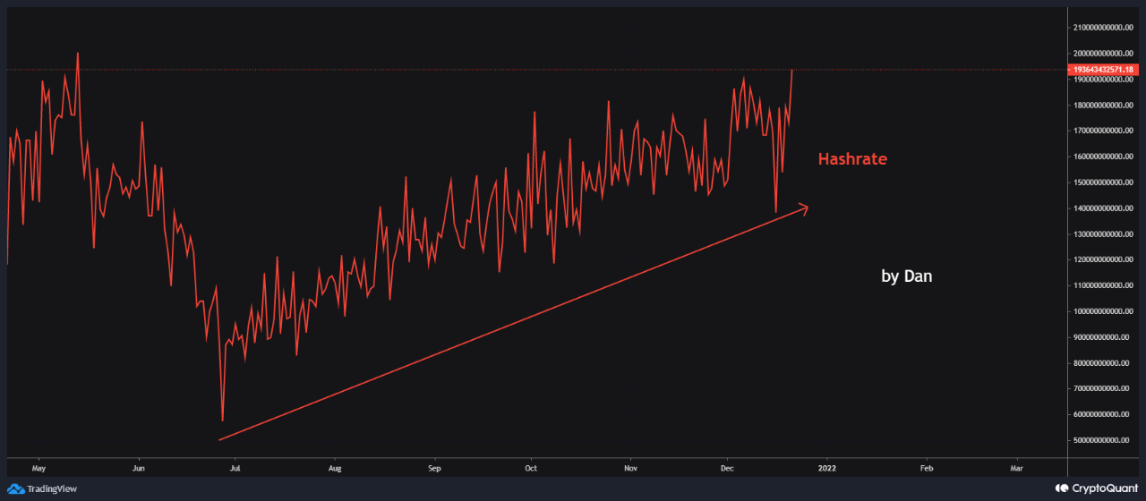 BTC - Hashrate Increase and Miners are holding | CryptoQuant