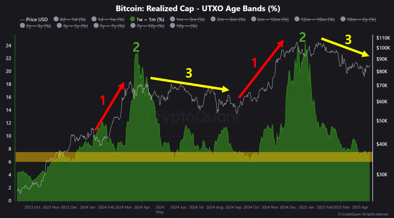 Cryptocurrency Market, Similar to the 2024 Correction Period | CryptoQuant