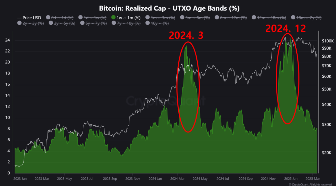 Cryptocurrency Market in an Oversold Zone After a Strong Correction |  CryptoQuant