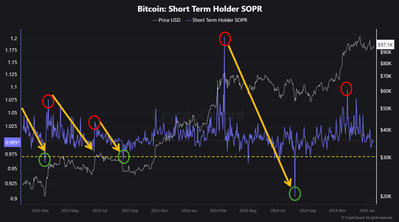 Relación beneficio-producción de salida gastada a corto plazo de Bitcoin (SOPR)