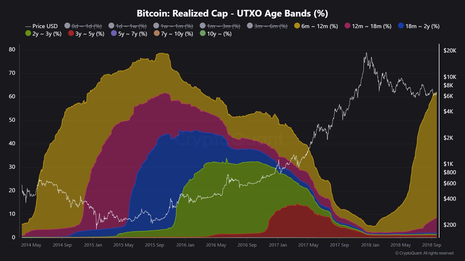 Crypto Market Bull Cycle Comparison | CryptoQuant