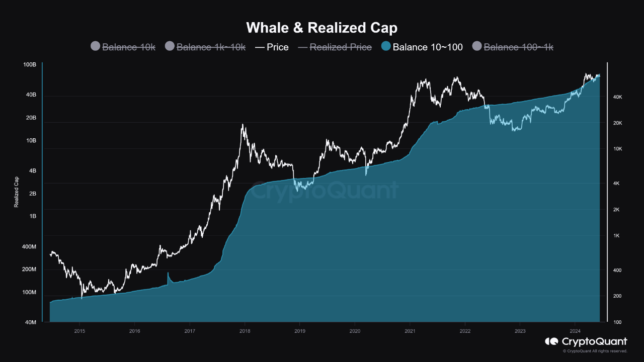 The movement of small investors is important in predicting the peak of a  bull market | CryptoQuant