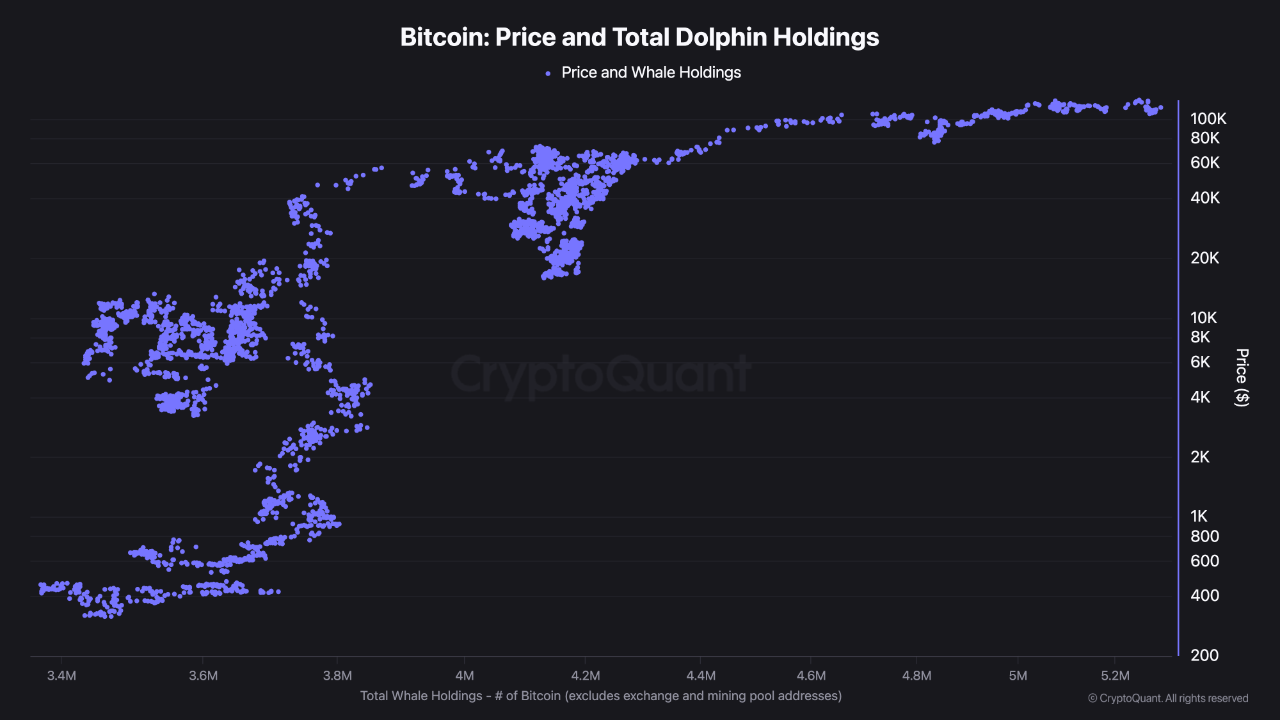 Bitcoin Dolphin Balance - Reality Check | 크립토퀀트