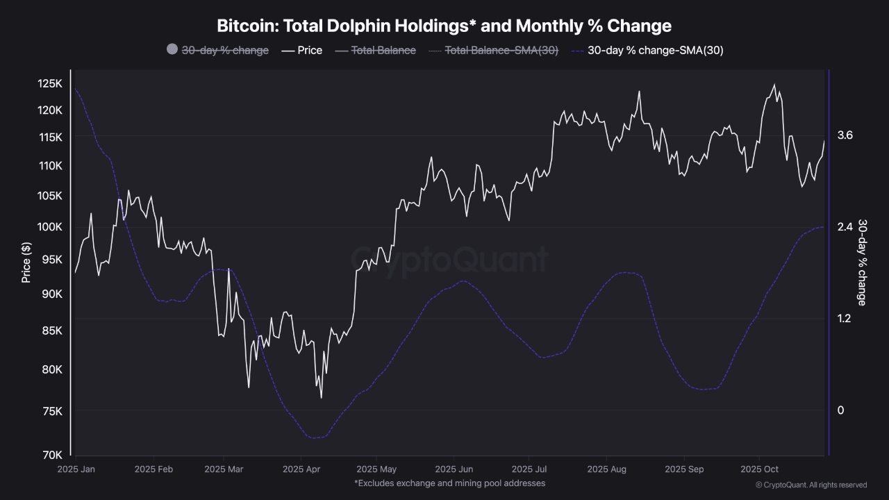 Bitcoin Dolphin Balance - Reality Check | CryptoQuant