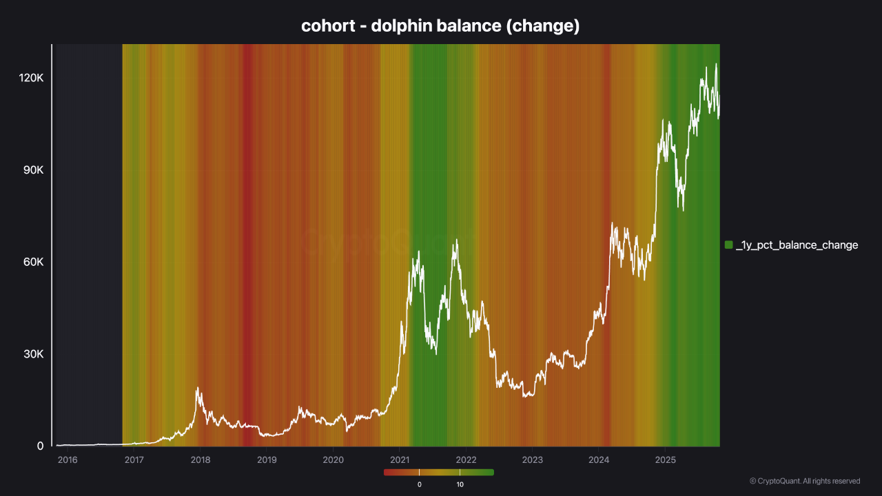 Bitcoin Dolphin Balance - Reality Check | 크립토퀀트
