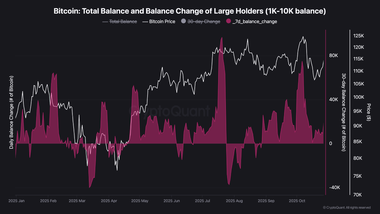 Bitcoin Dolphin Balance - Reality Check | CryptoQuant