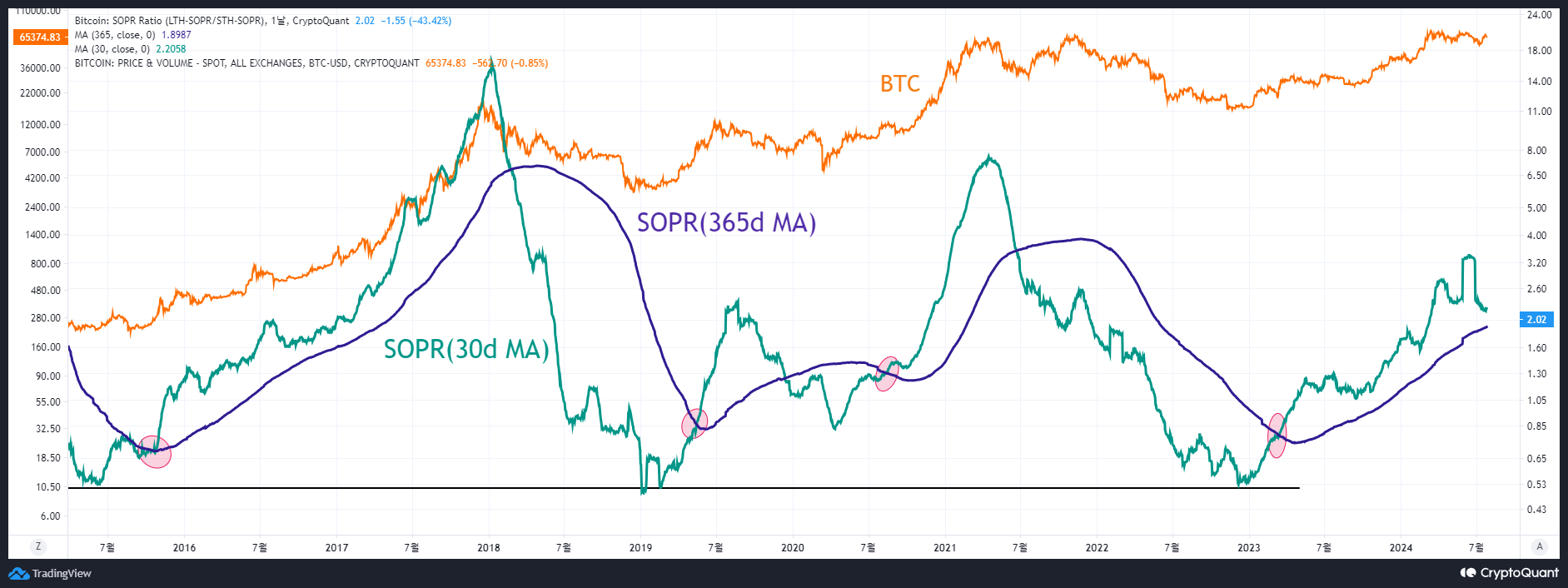 Dan Alert | CryptoQuant