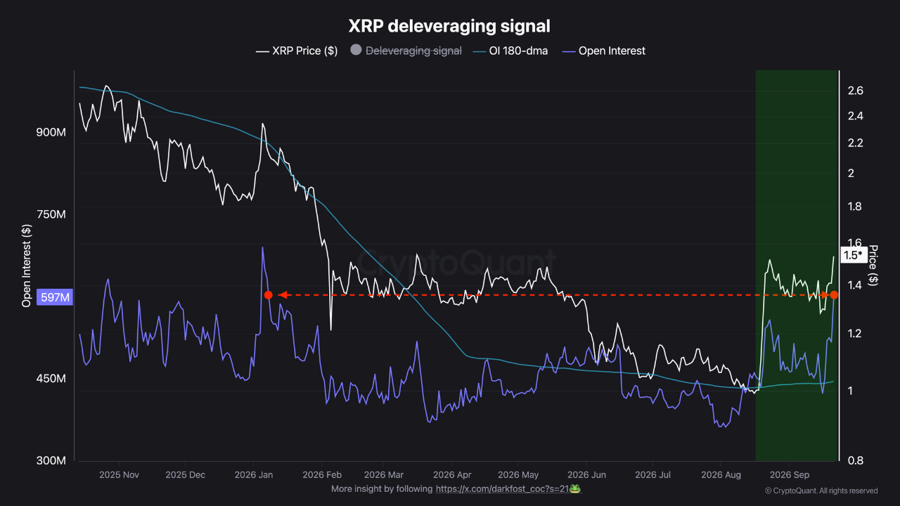 XRP Open Interest | Source: CryptoQuant