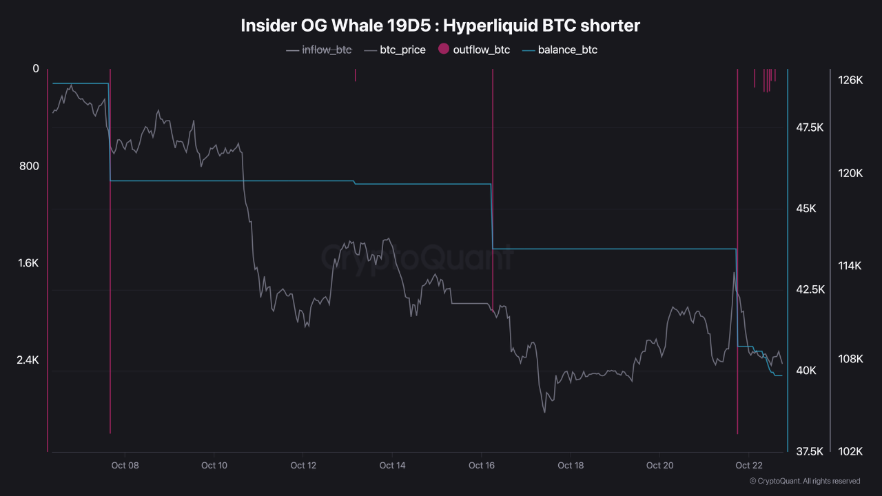 The insider whale 19D5 sends 3 003 BTC to Binance and keeps shorting BTC on  Hyperliquid. | Crypto...
