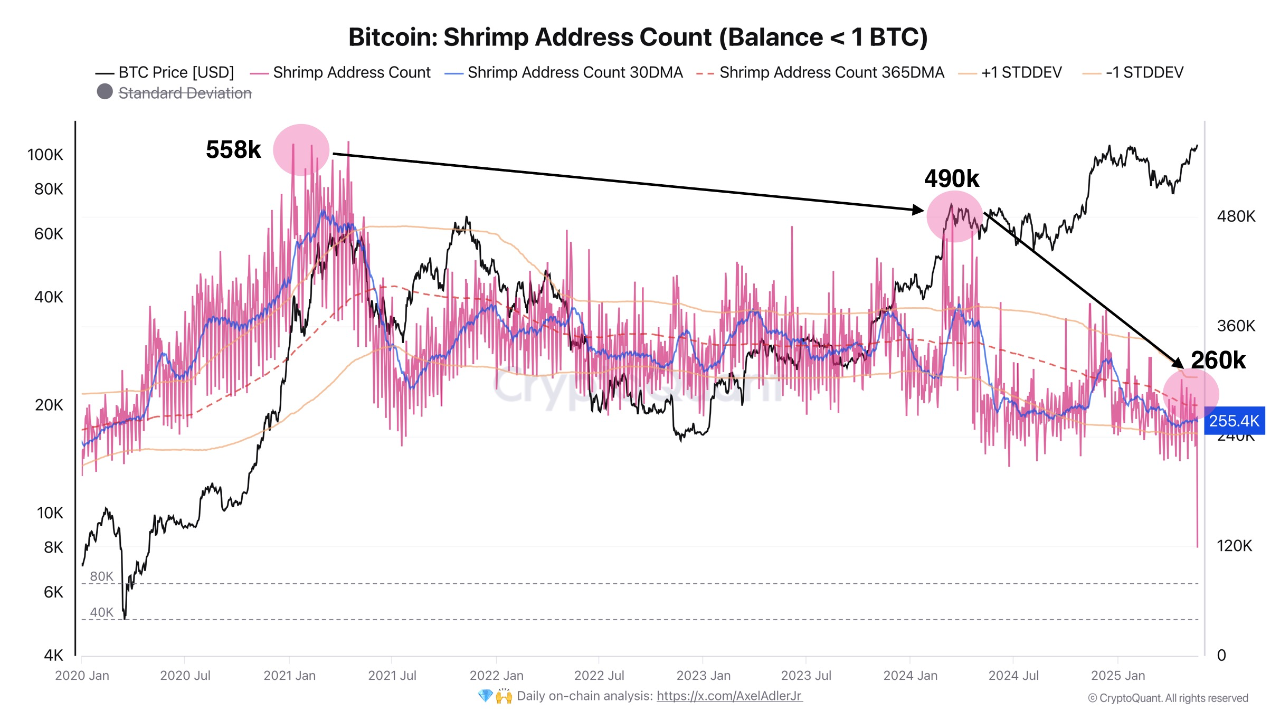 Bitcoin : Retail investors are still on the sidelines ! | CryptoQuant