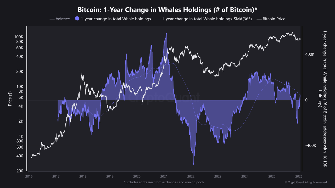 Is the Party Over? Decoding the Bitcoin Sell-Off | CryptoQuant
