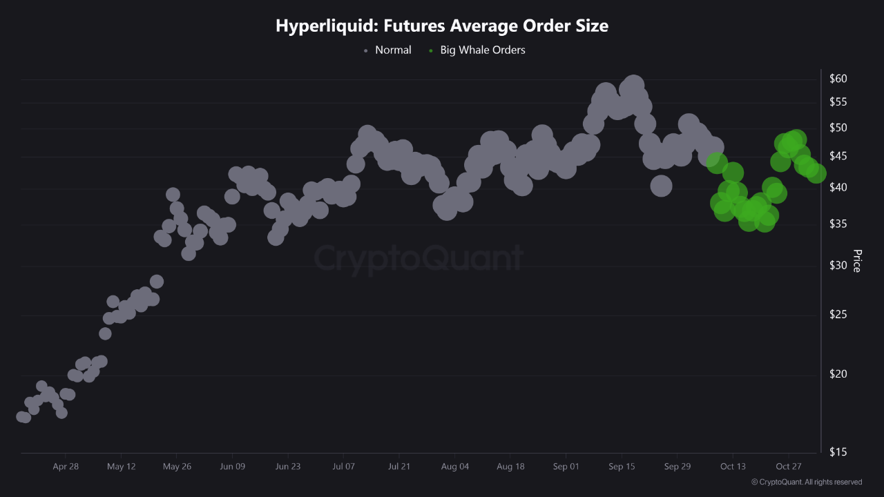 HYPE Heats Up: Whales Are Bidding Big! | CryptoQuant