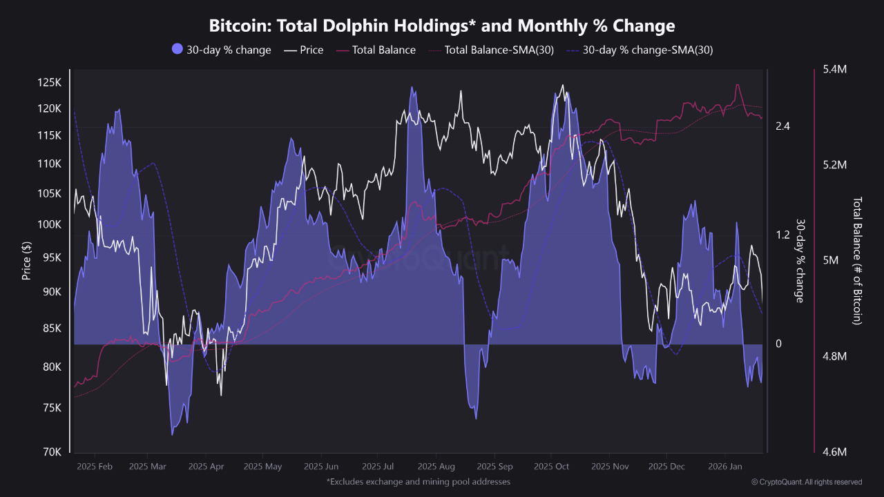 Is the Party Over? Decoding the Bitcoin Sell-Off | CryptoQuant