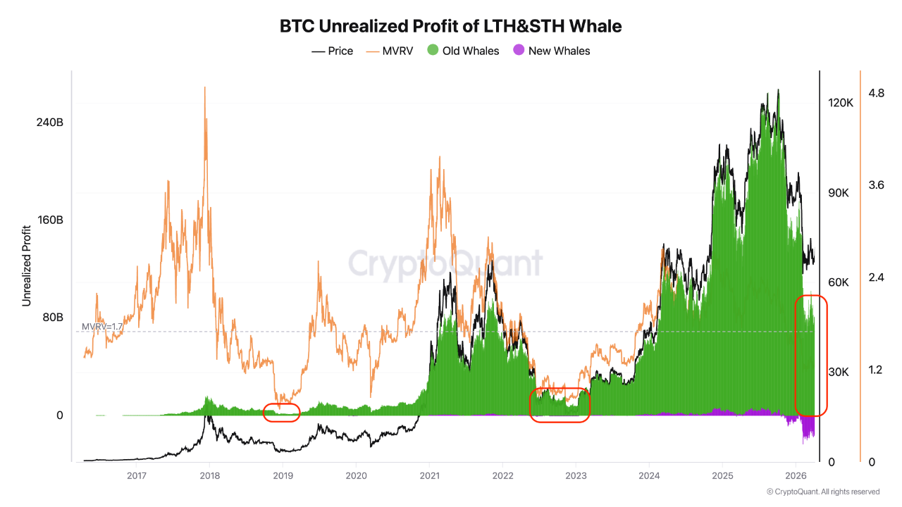 BTC Cycle Analysis: Why a Final Bottom is Likely | CryptoQuant