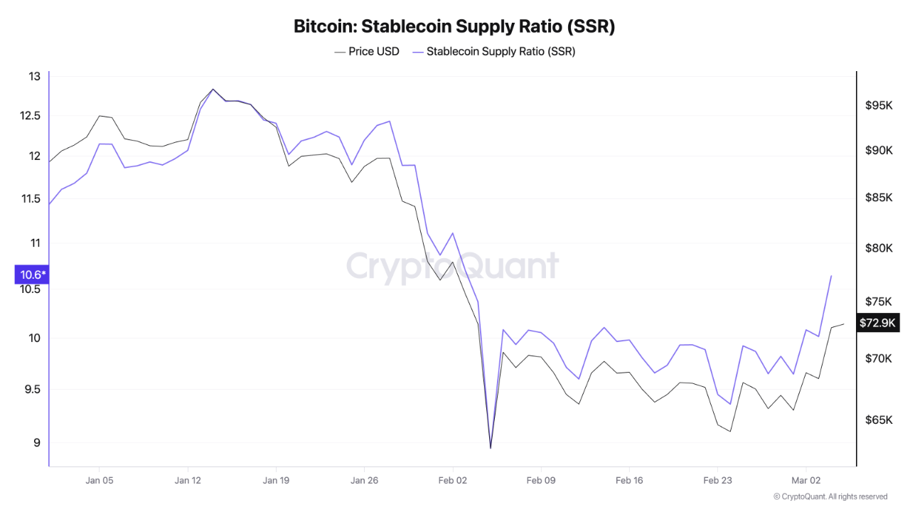 Is This Bitcoin Rally Sustainable? | CryptoQuant