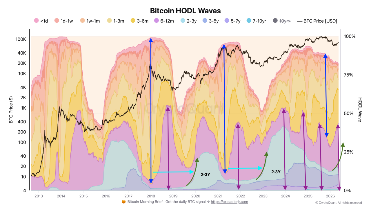 Reading the Bitcoin Bottom via HODL Waves | CryptoQuant