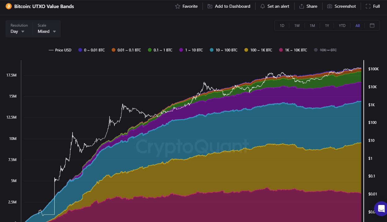Should BTC Rise in Q4? | CryptoQuant