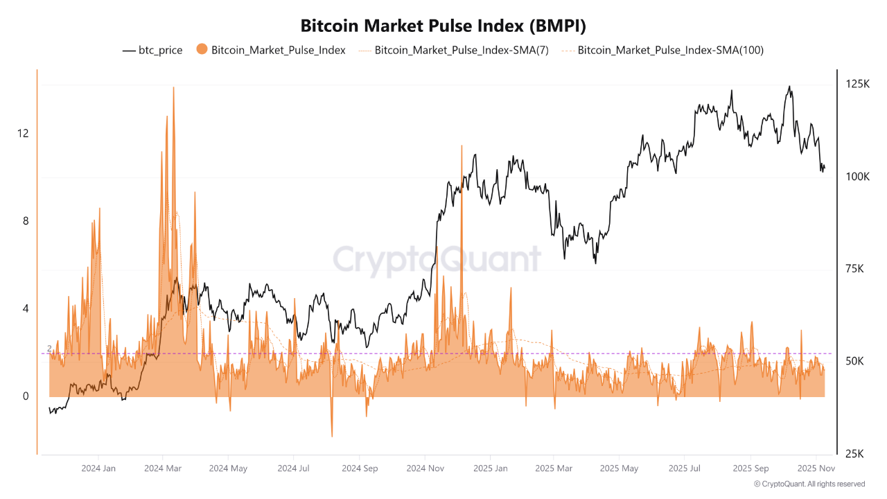 Market Cooling, Not Collapsing | CryptoQuant