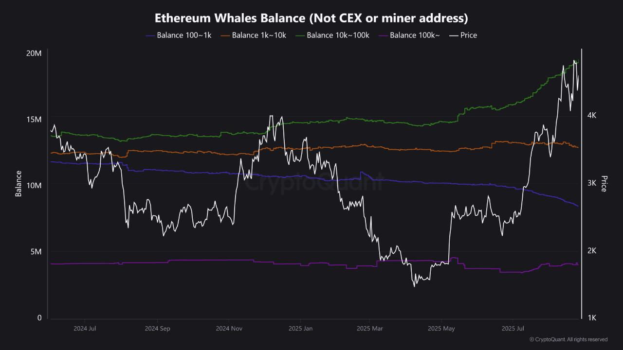 Ethereum Whale Demand Rises as Exchange Outflows Accelerate | CryptoQuant
