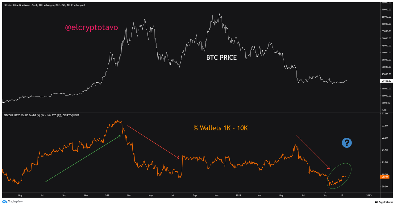 Bitcoin Whales Accumulation