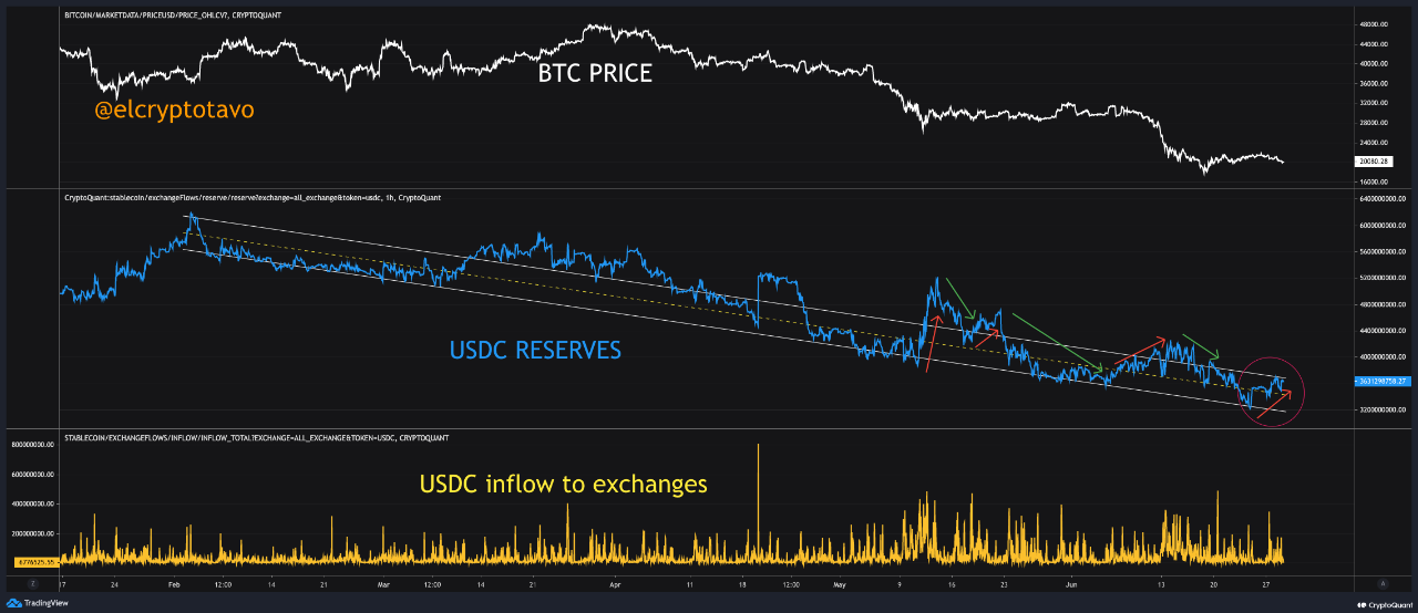 USDC Exchange Reserves Rise As Investors Escape From Bitcoin