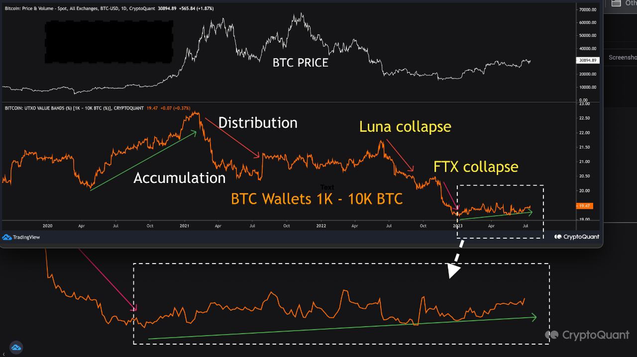 Wallets holding between 1K-10K #BTC have been patently accumulating |  CryptoQuant