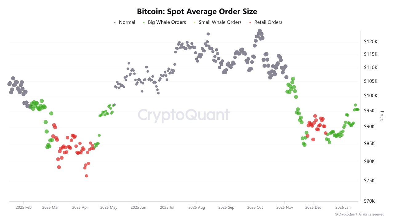 Five Crypto Assets the XWIN Research Fund (DeFi Fund) Is Watching for 2026  | CryptoQuant
