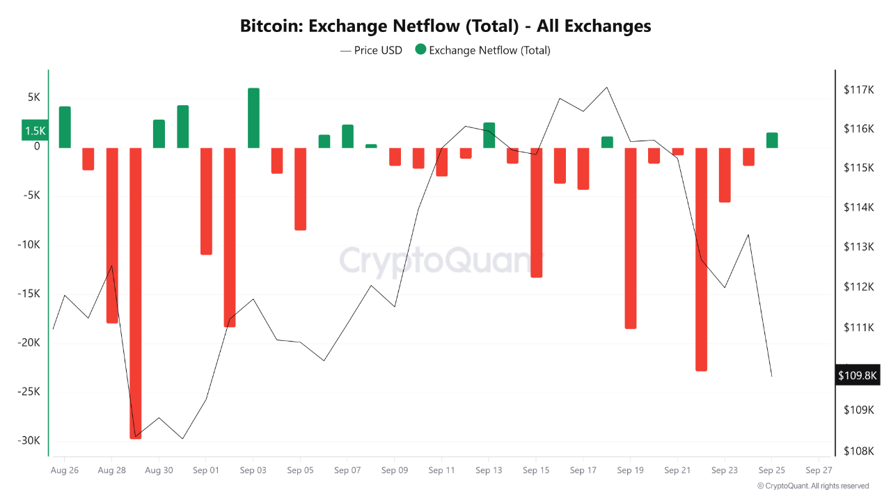 Why the Crypto Market Is Dumping Hard This Week | CryptoQuant