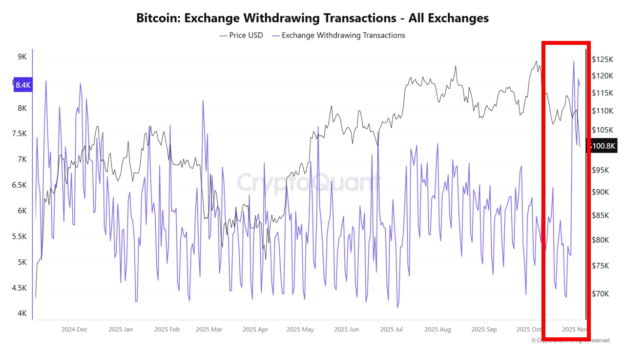 Sentiment-Led Bitcoin Drop with On-Chain Metrics Showing No Major Shift |  CryptoQuant