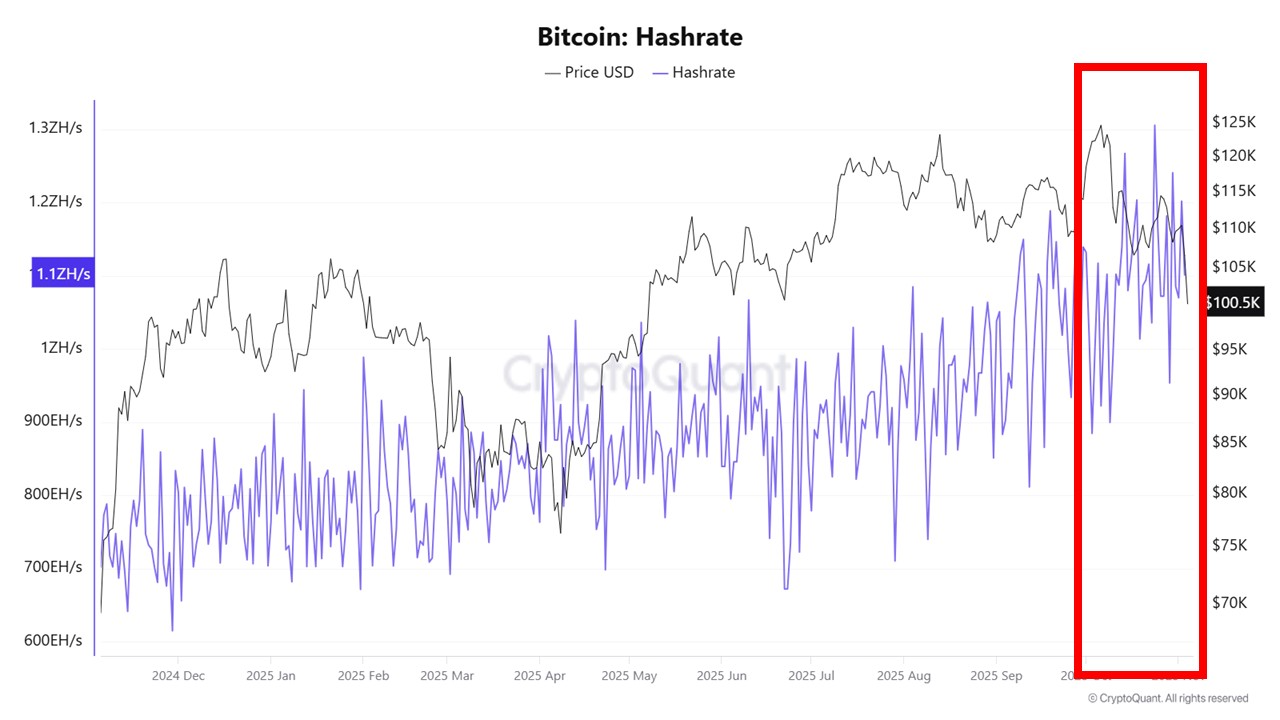Bitcoin Hashrate | Source: CryptoQuant