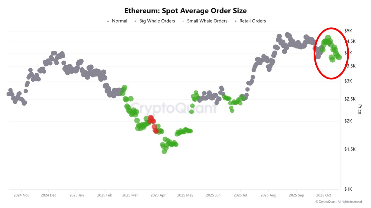 Ethereum Enters Supply Squeeze Phase, Hinting at a New Bull Cycle