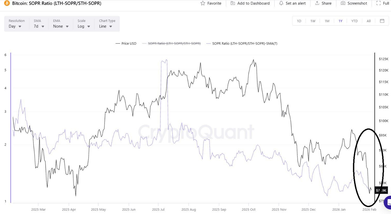 Bitcoin SOPR Ratio | Source: CryptoQuant