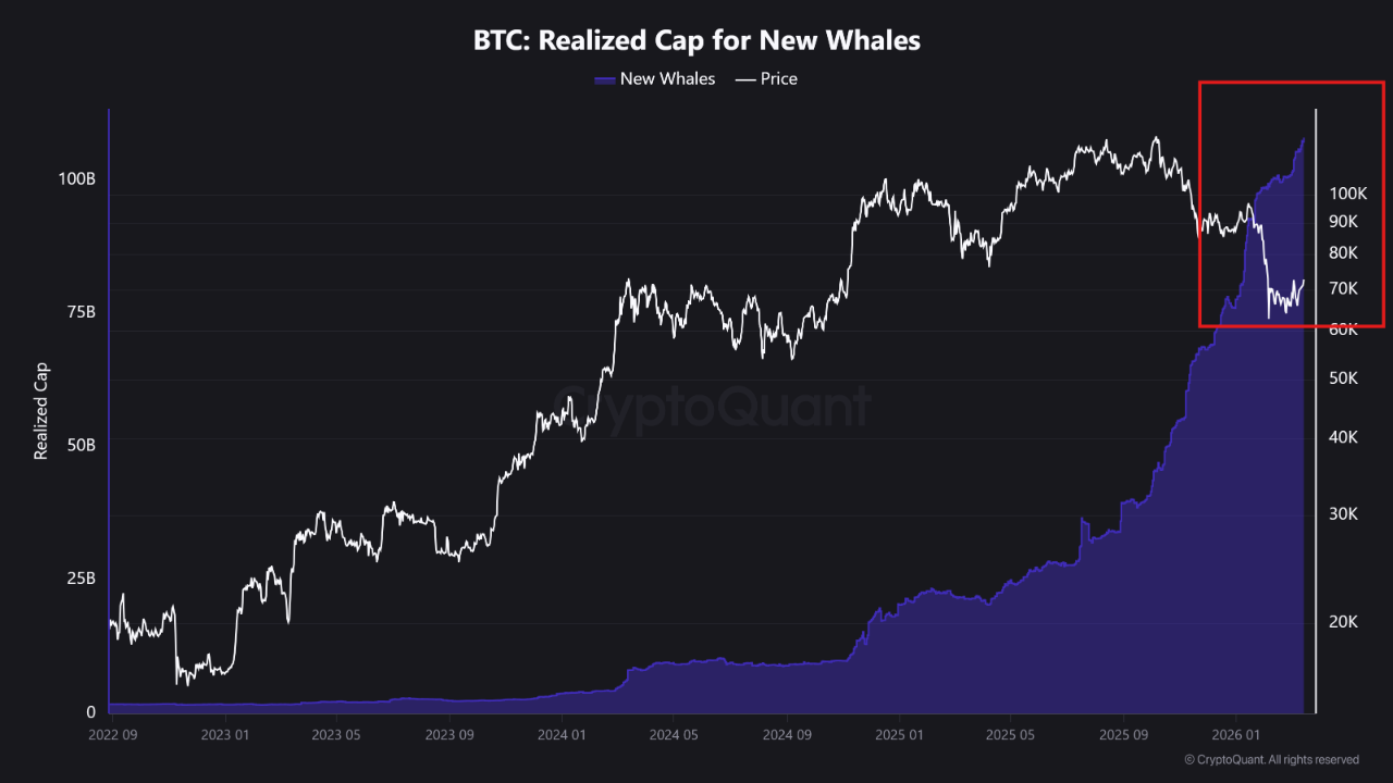 Revisiting the movements of whales and the total Bitcoin supply on ...